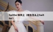 twitter如何上（现在怎么上twitter）