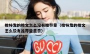 推特发的推文怎么没有推荐量（推特发的推文怎么没有推荐量显示）