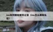 ins如何删除聊天记录（ins怎么删除私信）