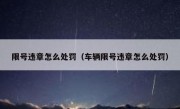 限号违章怎么处罚（车辆限号违章怎么处罚）