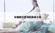 车辆限行查询的简单介绍