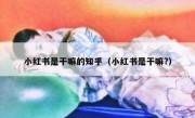 小红书是干嘛的知乎（小红书是干嘛?）