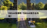 tiktok有用吗（tiktok有什么功能）