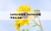 twitter的账号（twitter的账号怎么注册）