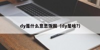 dy是什么意思饭圈（dy是啥?）
