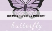 易联支付是什么意思（易支付啥意思）