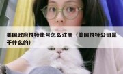 美国政府推特账号怎么注册（美国推特公司是干什么的）