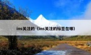 ins关注的（ins关注的标签在哪）