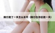 限行跑了一天怎么处罚（限行在市区跑一天）