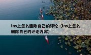 ins上怎么删除自己的评论（ins上怎么删除自己的评论内容）