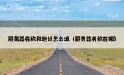 服务器名称和地址怎么填（服务器名称在哪）