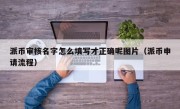 派币审核名字怎么填写才正确呢图片（派币申请流程）