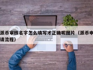 派币审核名字怎么填写才正确呢图片（派币申请流程）