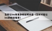 怎样让ins有更多粉丝呢抖音（怎样才能让ins的粉丝增多）