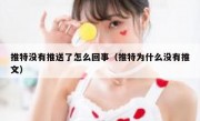 推特没有推送了怎么回事（推特为什么没有推文）