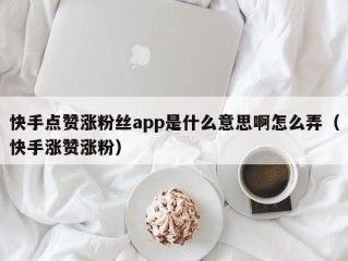 快手点赞涨粉丝app是什么意思啊怎么弄（快手涨赞涨粉）