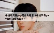 手机不支持pay是什么意思（手机没有pay支付功能怎么办）