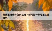 新闻推特账号怎么注销（新闻推特账号怎么注销啊）