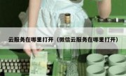 云服务在哪里打开（微信云服务在哪里打开）