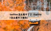 twitter怎么看不了了（twitter怎么看不了推文）