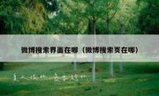 微博搜索界面在哪（微博搜索页在哪）