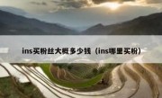 ins买粉丝大概多少钱（ins哪里买粉）