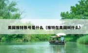 美国推特账号是什么（推特在美国叫什么）