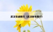 武汉交通限行（武汉轿车限行）