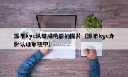 派币kyc认证成功后的图片（派币kyc身份认证审核中）