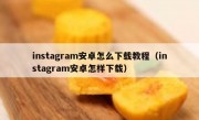instagram安卓怎么下载教程（instagram安卓怎样下载）