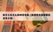 新手小白怎么做跨境电商（做跨境电商需要投资多少钱）