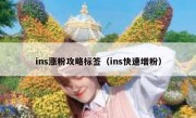 ins涨粉攻略标签（ins快速增粉）