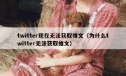 twitter现在无法获取推文（为什么twitter无法获取推文）