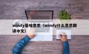 windy是啥意思（windy什么意思翻译中文）