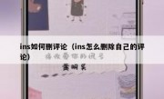 ins如何删评论（ins怎么删除自己的评论）