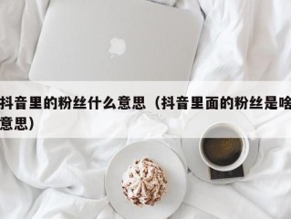 抖音里的粉丝什么意思（抖音里面的粉丝是啥意思）
