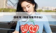 挂机宝（挂机宝能干什么）