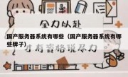 国产服务器系统有哪些（国产服务器系统有哪些牌子）
