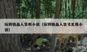 玩转极品人生听小说（玩转极品人生孓无我小说）