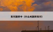 支付跳转中（什么叫跳转支付）