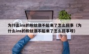 为什么ins的粉丝涨不起来了怎么回事（为什么ins的粉丝涨不起来了怎么回事呀）