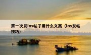 第一次发ins帖子用什么文案（ins发帖技巧）