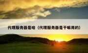 代理服务器是啥（代理服务器是干嘛用的）