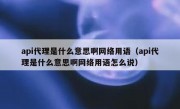 api代理是什么意思啊网络用语（api代理是什么意思啊网络用语怎么说）