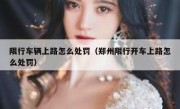 限行车辆上路怎么处罚（郑州限行开车上路怎么处罚）