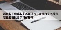 派币名字修改名字怎么填写（派币的名字没有错也要更改名字和邮箱吗）