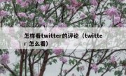怎样看twitter的评论（twitter 怎么看）