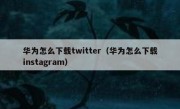 华为怎么下载twitter（华为怎么下载instagram）