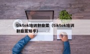 tiktok培训割韭菜（tiktok培训割韭菜知乎）