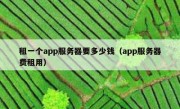 租一个app服务器要多少钱（app服务器费租用）